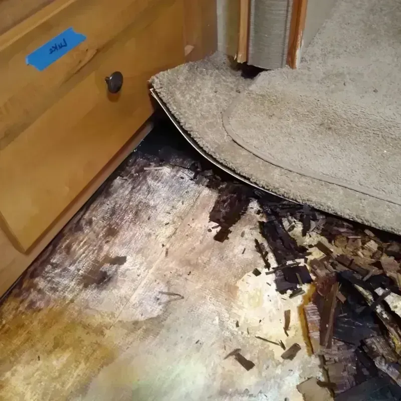 Best Wood Floor Water Damage Service in Adamsville, TN